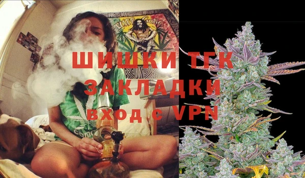 стаф Медвежьегорск