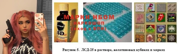 стаф Медвежьегорск