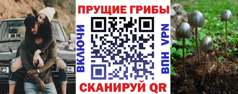 Псилоцибиновые грибы Magic Shrooms Павлово