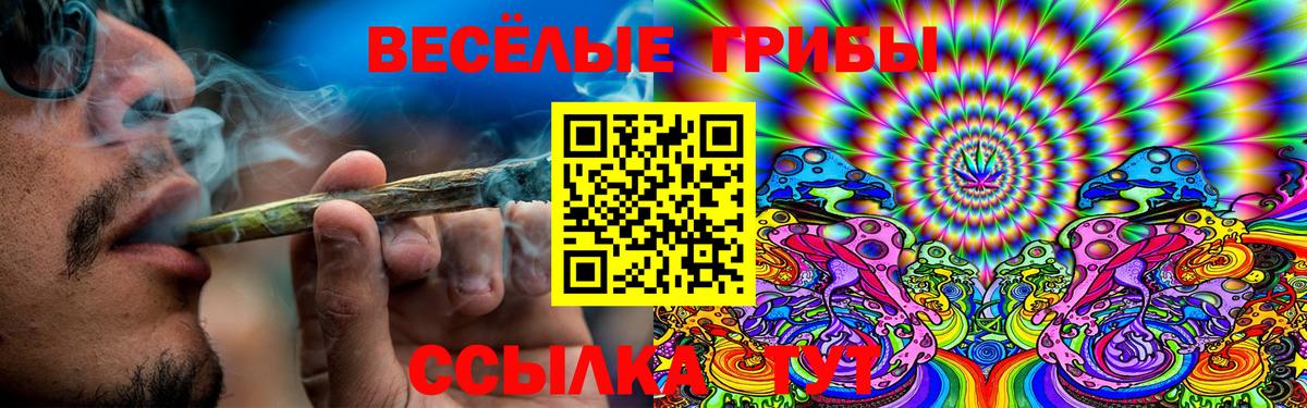 Галлюциногенные грибы Psilocybe  Галлюциногенные грибы Cubensis  Павлово  Вход с VPN 