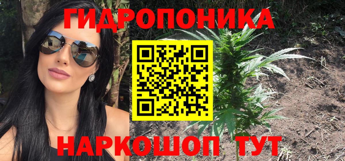 МАРИХУАНА гибрид Павлово